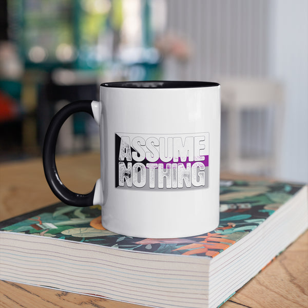 Assume Nothing Demisexual Pride Flag Color Accent Mug